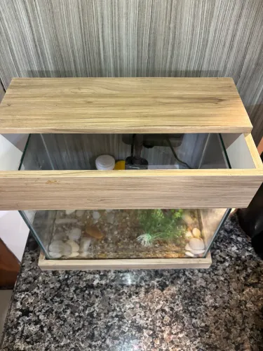 Aquário