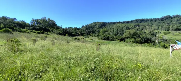 SÍTIO À VENDA EM ROLANTE - 7 HECTARES