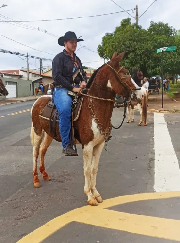 Mula pronta Pampa 