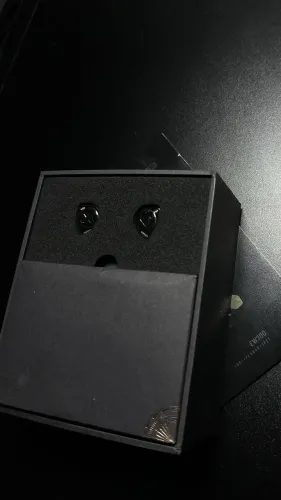 Fone IEM SIMGOT EW300