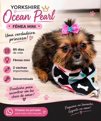 Ocean pearl