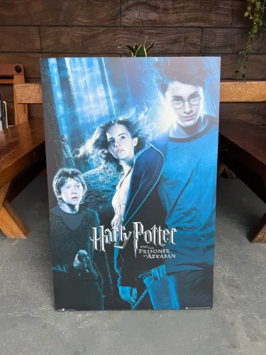 Quadros em placa decorativa MDF / the last of us, breaking bad, Tarantino, Harry Potter