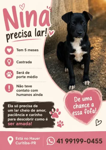 Doa-se essa fofa