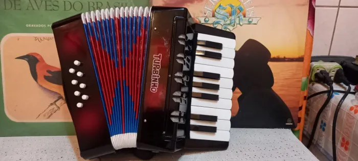 Sanfona Acordeon Turbinho 8 baixos 