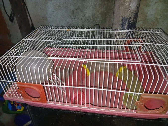 Gaiola pra hamister
