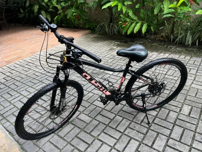 Bicicleta aro 29 (bike)