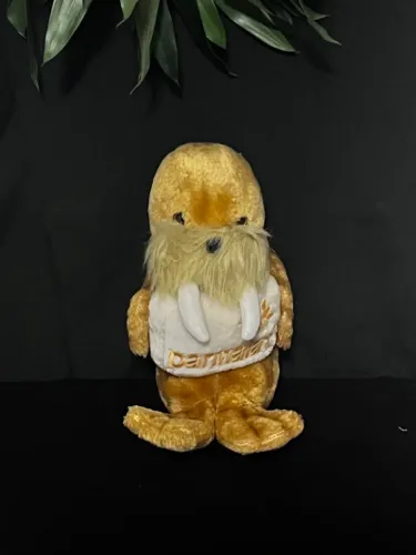 Pelucia