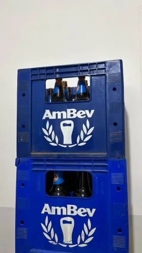 10 grades litrão ambev