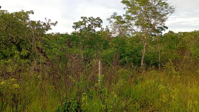 Terreno 