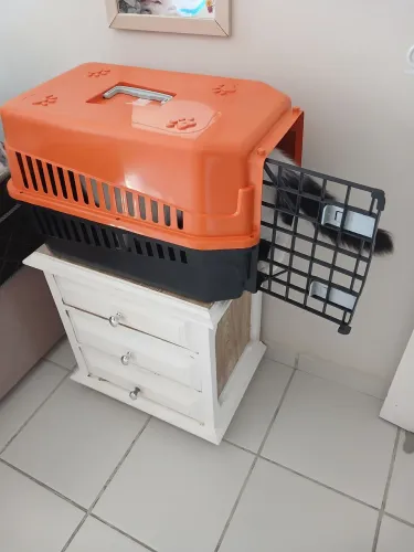 Caixa de transporte Pet