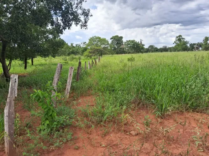 COD559 - Chácara a venda - 14hectares em Terenos/ MS.