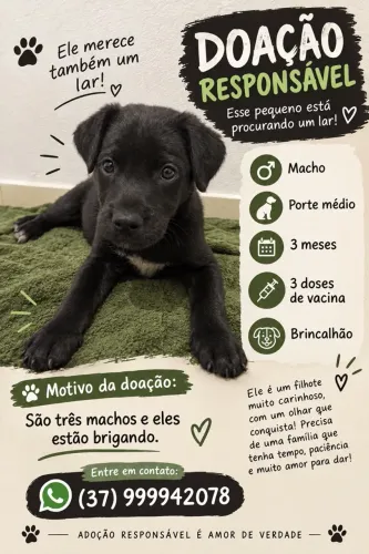 Doação