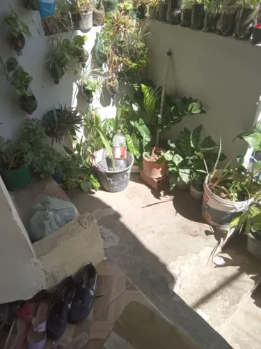 Vendo uma casa em pau da Lima 2 andar 3/4 quartos sala cozinha área de serviço e varanda