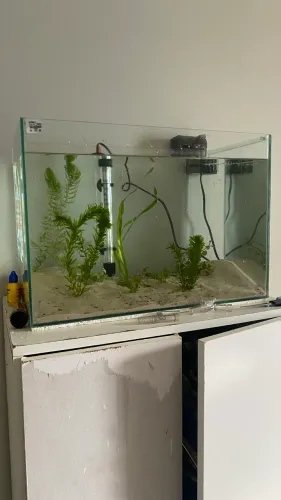 Aquario 40L com plantas vivas, termostato, filtro, substrato e areia.