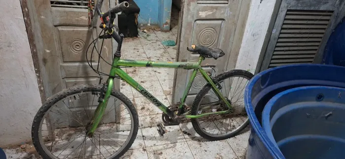 Bicicleta