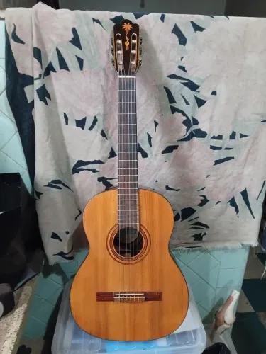 Violão Di Giorgio n°18 1973