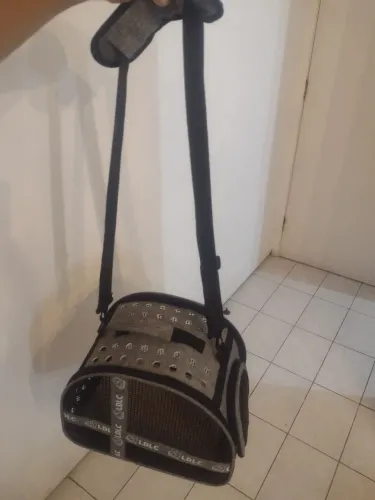 Casinha para pets