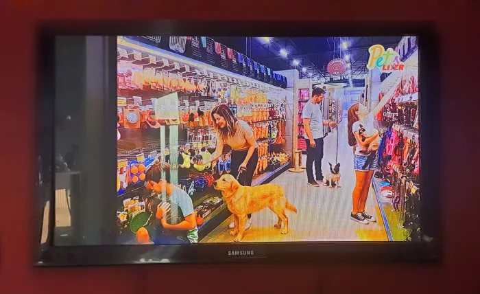Televisão
