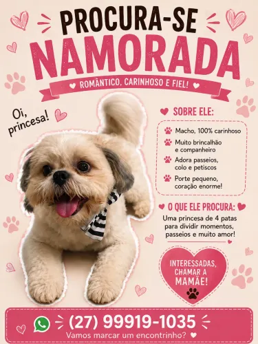 Procura-se namorada