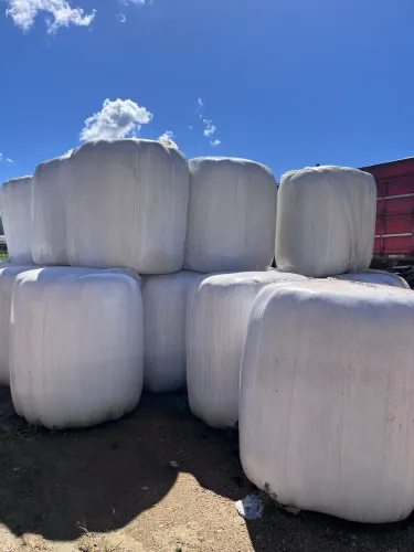 Bola de feno(tifton-azevem)