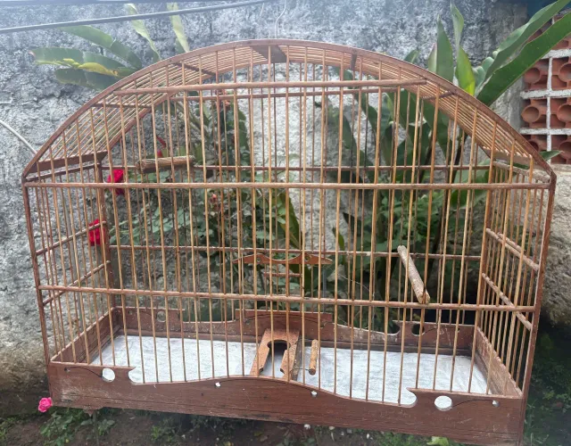 Vende-se gaiola