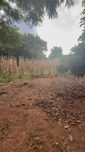 Lote na Vila Americano do Brasil (Baixo Bueno)