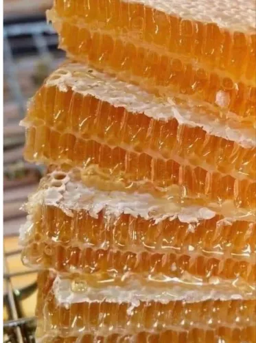 Mel com favos 