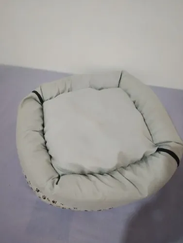 Caminha pet