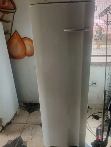Freezer vertical