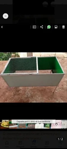 Pinteiro para aves delicadas