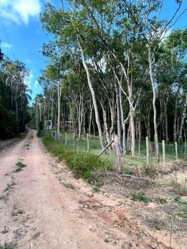 Chácara em Mandirituba - PARANÁ