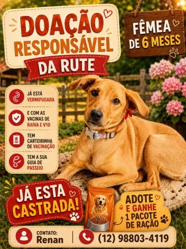 DOAÇÃO RESPONSÁVEL DA RUTE!