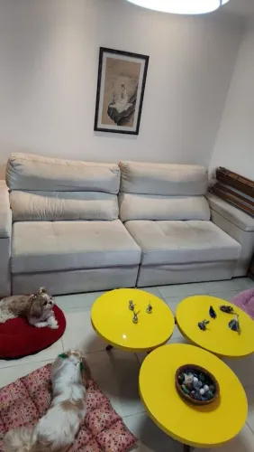 Sofá cama de 2 lugares