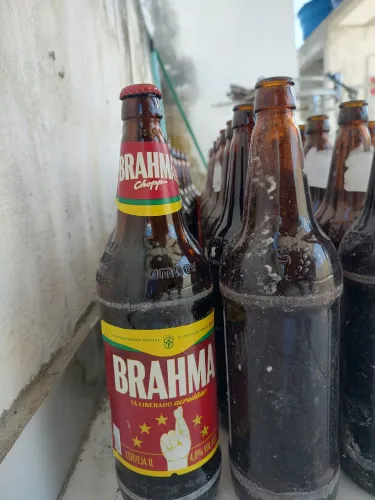 Vende-se vasilhames vazios de cerveja 1 litro
