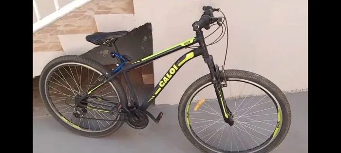 Bicicleta Aro29
