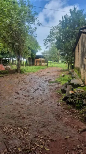 Chácara de 2.6 alqueires em santa Bárbara Goiás, rio anicunzinho nos fundos 1.700.000