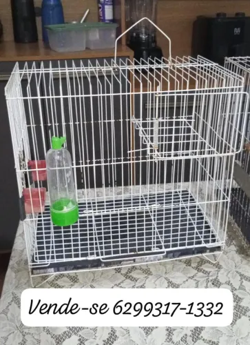 Duas Gaiola para pássaros