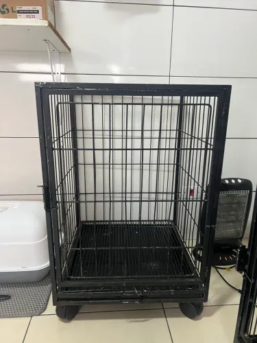 Gaiola Canil Modular em Ferro com Rodinhas - Ideal para Pet Shop, Clínica ou Lar