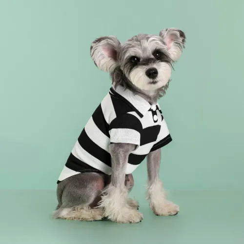 Roupinha para cachorro,tamanho P