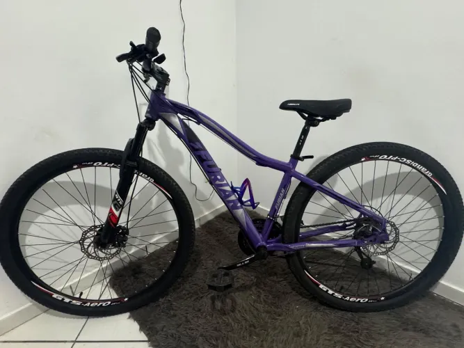 Bicicleta Furian Siena 29"