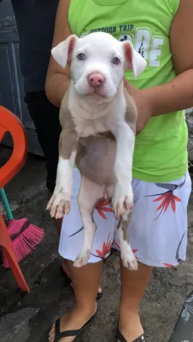 Pit Monster