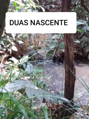 Chácara 22 hectares córrego e nascente