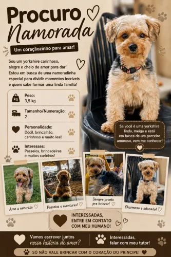 Pet