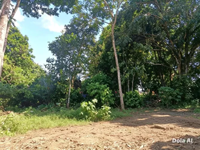 Terreno 