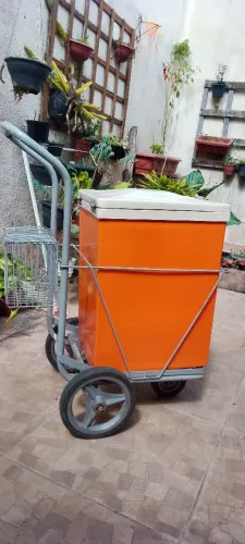 CARRINHO PARA TRANSPORTE DE ÍTENS RESFRIADOS - LER ANÚNCIO ATENTAMENTE 