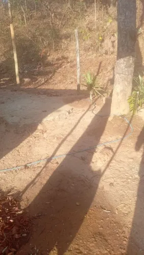 Vendo lote na invasão