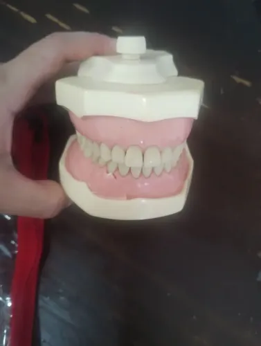 Acadêmico