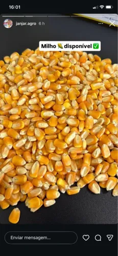 VENDA DE MILHO E RAÇÕES DIRETO DA FAZENDA 