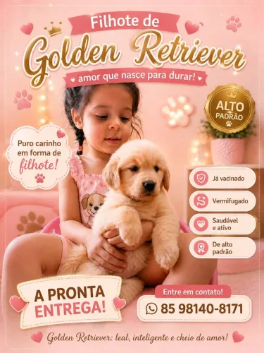 Golden Retriever há Pronta Entrega!