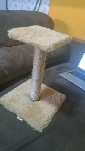 Arranhadores para gato